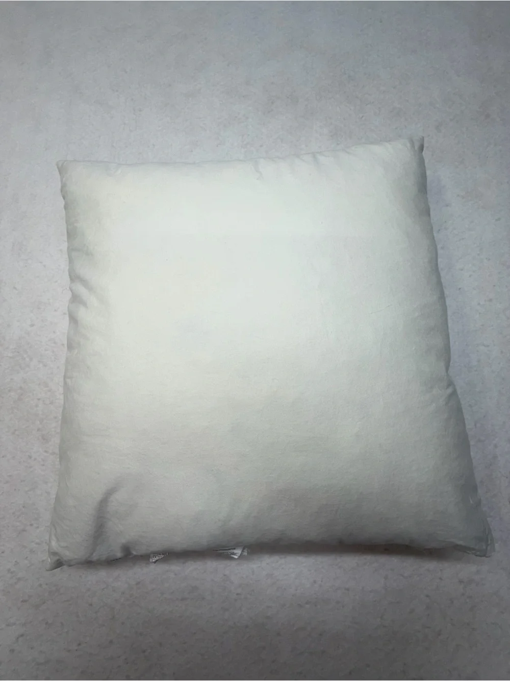 Pottery Barn Down Feather 20”x 20” Decorative Throw Pillow Insert - Set of 2